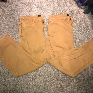 Khaki Bundle